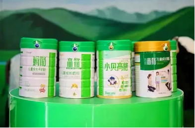 2024年中国儿童奶粉发展白皮书