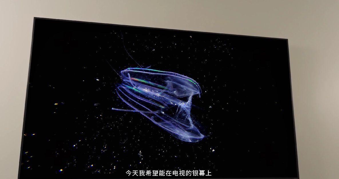 海信电视联合8KRAW摄影师，讲述好画质的生命力