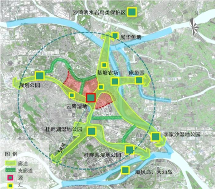深规院助力云鹭片区绿色转型,实现鸟类友好与生态城市的有机融合