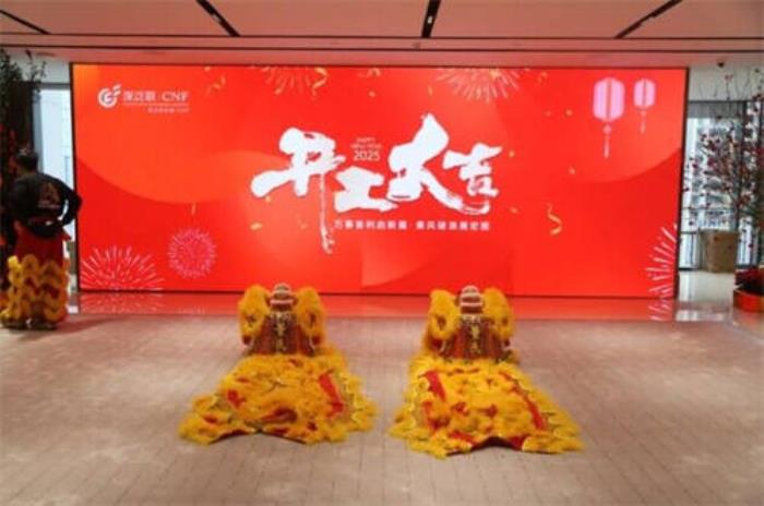 深泛联投资集团举行新春开工仪式