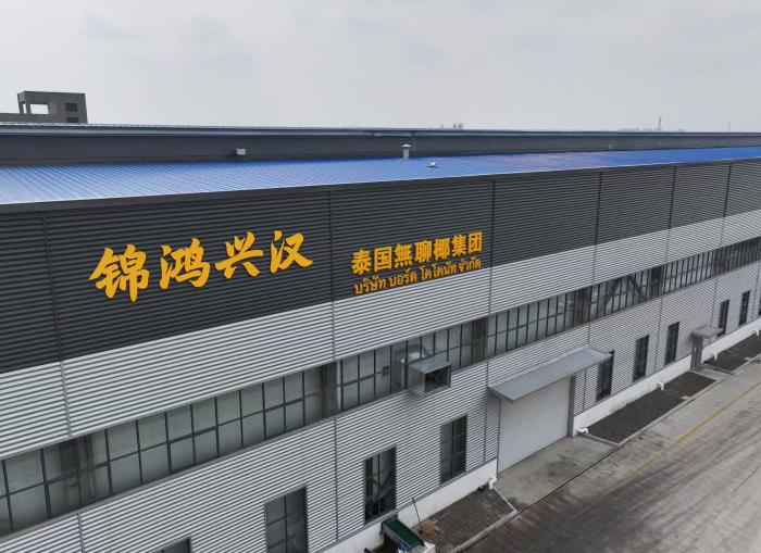 战略签约！锦鸿兴汉与无聊椰，共筑椰产品产业新高地
