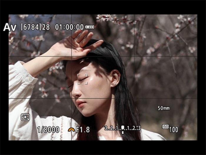 佳能EOS R50春日桃花人像实拍体验