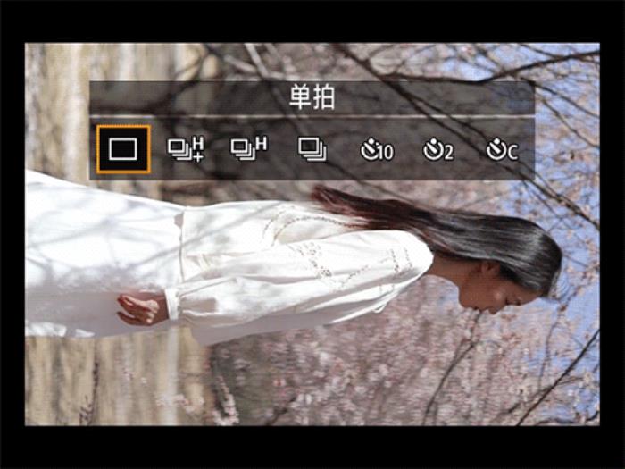 佳能EOS R50春日桃花人像实拍体验