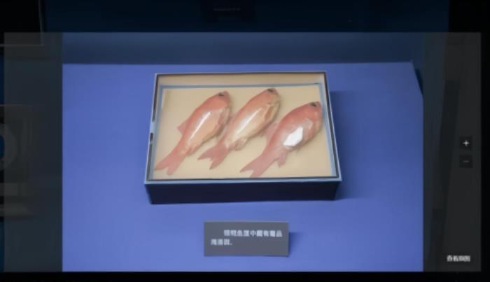 如视x上海公安博物馆：观数字博物馆，探公安辉煌史
