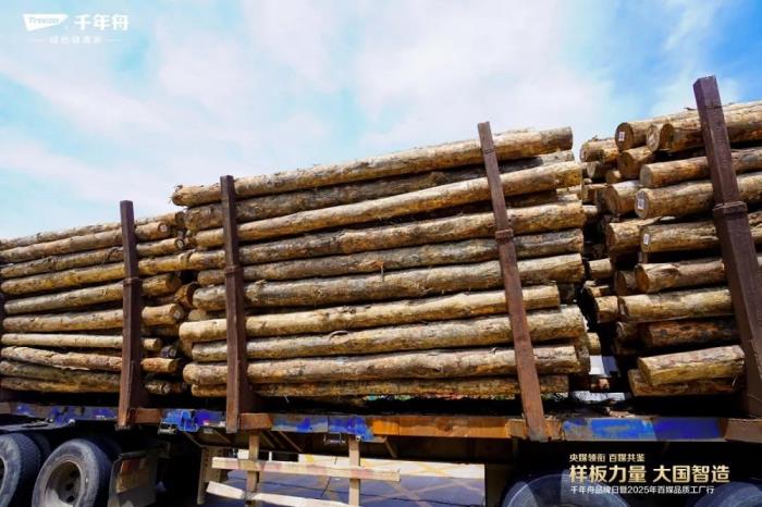 样板力量·大国智造丨2025千年舟品牌日「百媒工厂行」，共探智能制造价值标杆