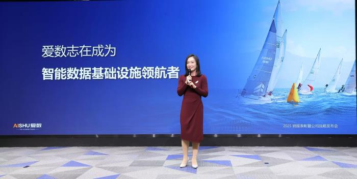 爱数致力于成为智能数据基础设施领航者，以 Data + AI 迈向决策智能