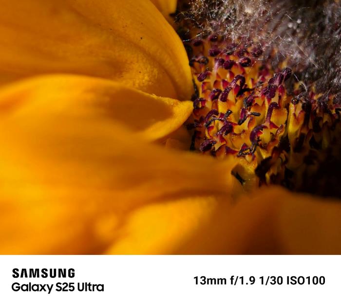 用镜头讲述精彩故事 三星Galaxy S25系列影像沙龙落地上海