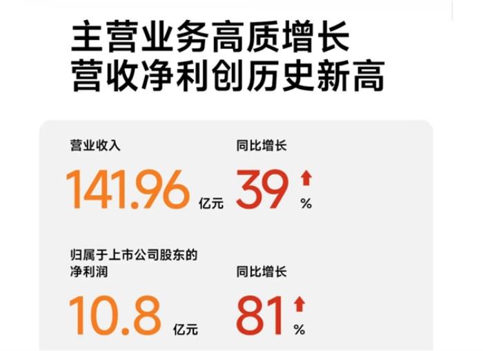 连续三年全球销量第一！九号电动2024年全年成绩单依旧业绩亮眼