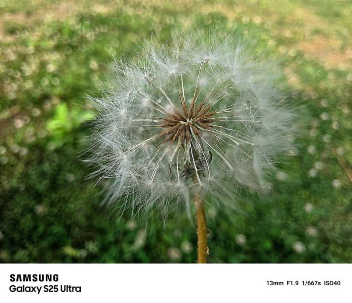 从拍摄到后期 三星Galaxy S25 Ultra如何打造专业“影像闭环”