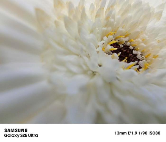 随时拍出主角感 三星Galaxy S25 Ultra人像体验再升级