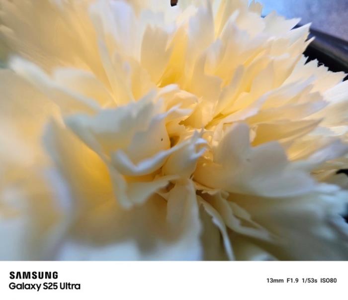 全焦段、全场景、全流程 三星Galaxy S25 Ultra打通影像创作闭环