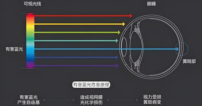 爱眼日特别关注：当我们在看屏幕时，眼睛正在经历什么？