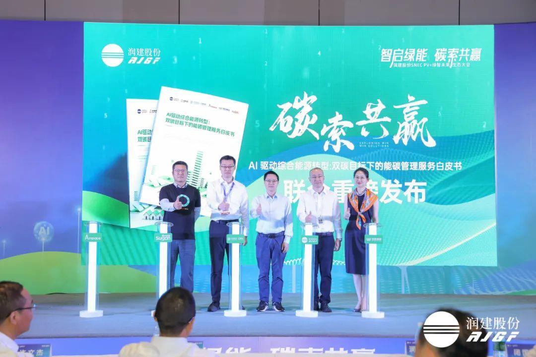 AI驱动绿色未来 