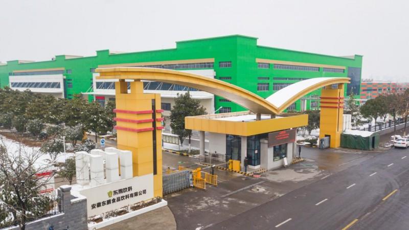 民族品牌创新标杆：小米「芯」突破与东鹏饮料「质价比」突围