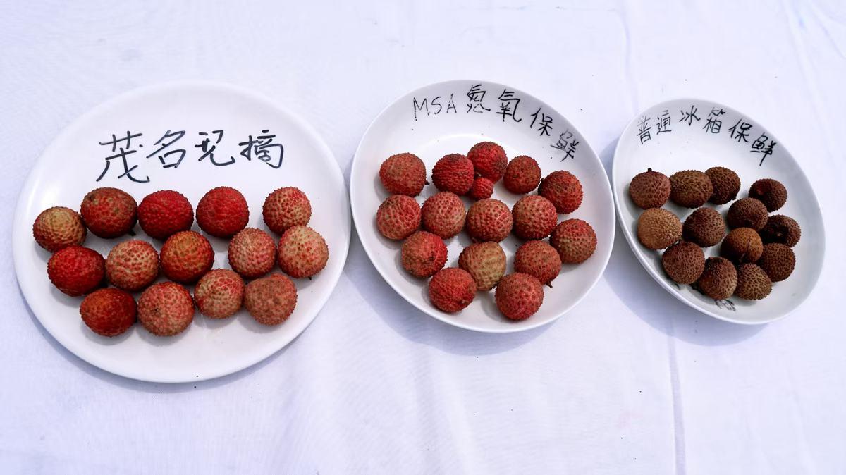 从“妃子笑”到“用户笑”：卡萨帝冰箱挑战荔枝7天鲜成功