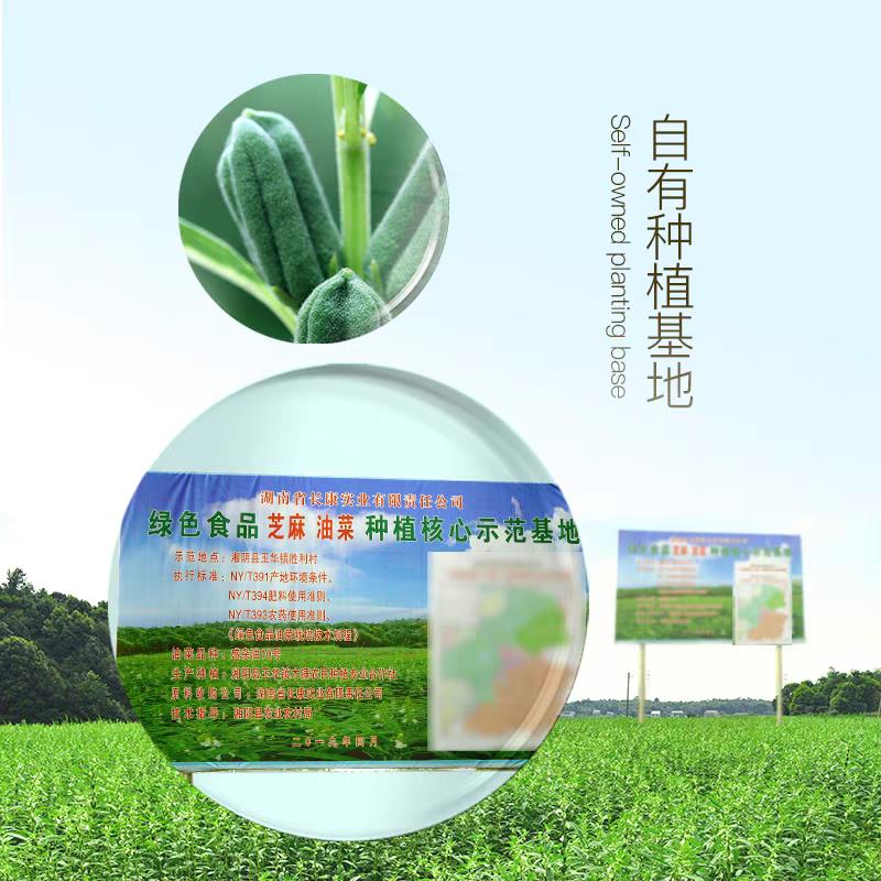 匠心传承守正创新，长康集团书写老字号发展新篇章！