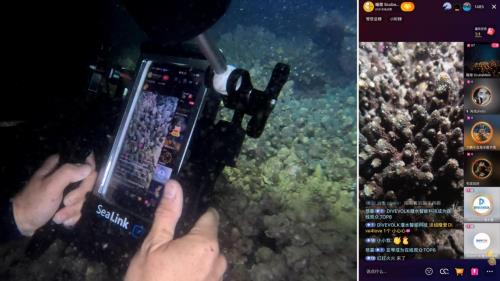 DIVEVOLK助力：深圳大鹏湾珊瑚产卵直播活动纪实