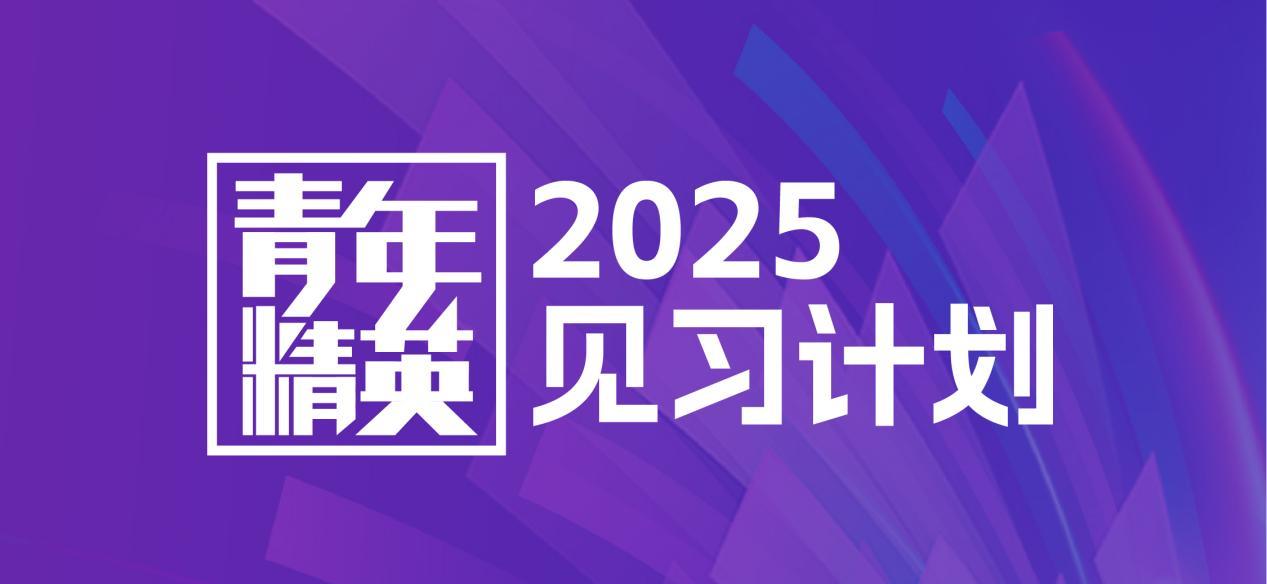 朝阳区2025青年精英见习计划全球招募！名企见习+丰富课程+头部企业内推资格