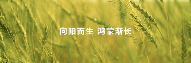 HDC 2025现场重磅发布华为在下一个操作系统时代的棋