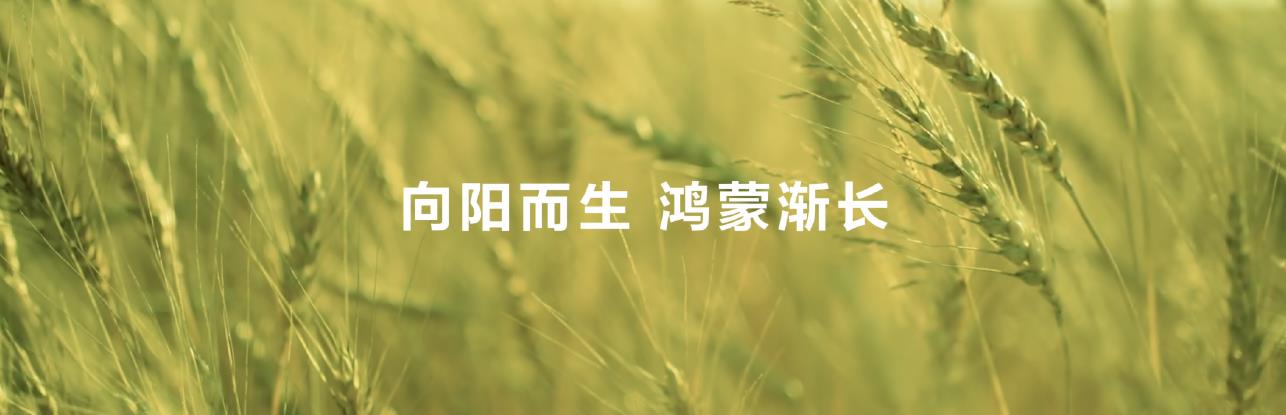 鸿蒙系统级AI赋能，华为阅读不断拓展数字阅读边界