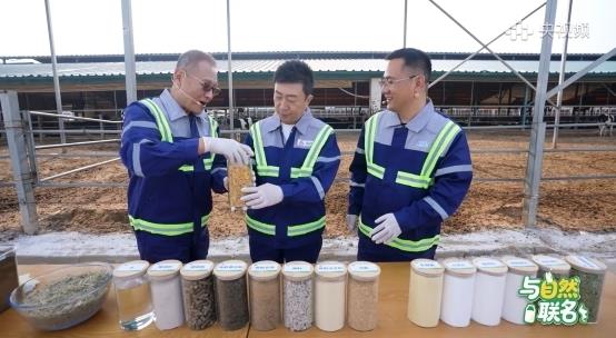 总台陈伟鸿走进君乐宝溯源鲜活密码，破解一杯好奶诞生的“黄金公式”