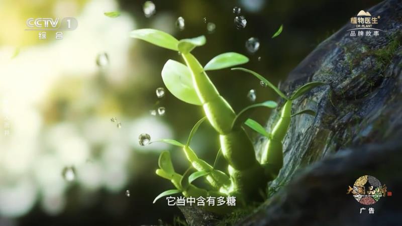 当民族智慧对话央视镜头，植物医生以中国成分“破壁”叙事