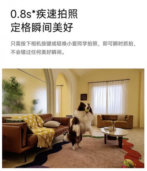 1999元可在京东入手小米AI眼镜 附赠京东配镜服务免费送镜片