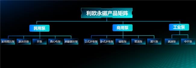 利欧永磁产品矩阵：技术驱动下的绿色用水革命