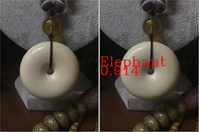 入选联合国案例集！AI拯救濒危动物，飞桨助力清除1.3万余条非法贸易广告