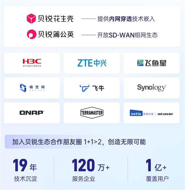 合规浪潮下路由器纷纷停服DDNS，贝锐花生壳内网穿透助力飞鱼星破局