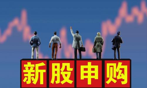 盛树投资管理有限公司：A 股与新股市场的闪耀战绩