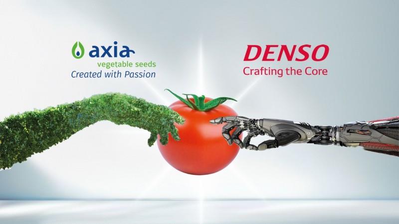 电装收购Axia Vegetable Seeds全部股份，助力构建可持续农业体系