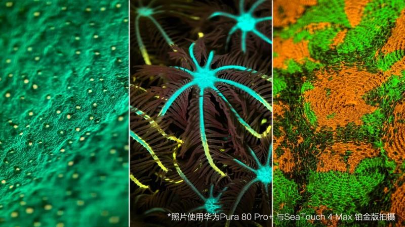 华为发布HUAWEI Pura 80 Ultra：一英寸超高动态主摄，携DIVEVOLK全触屏防水壳探索五彩斑斓的海底世界