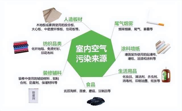 2025年除甲醛产品品牌深度测评！