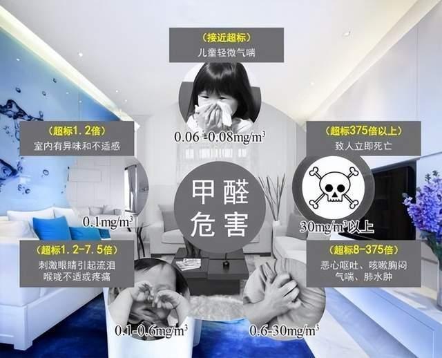 2025年除甲醛产品品牌深度测评！