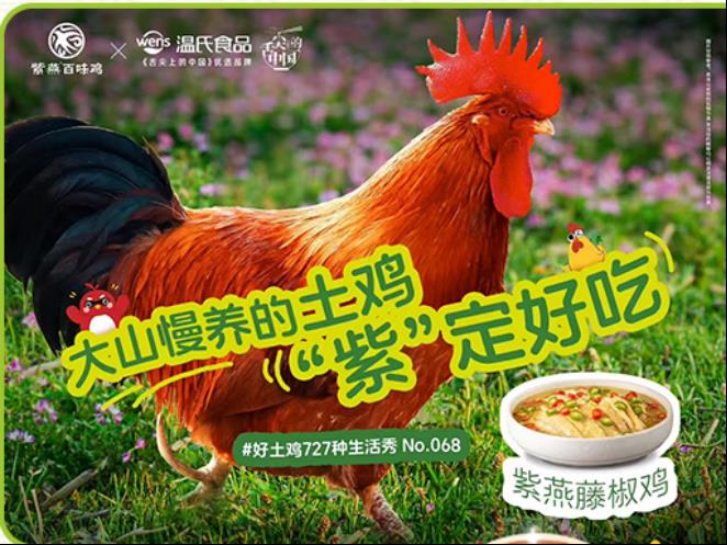 土鸡产品出圈背后：从源头到餐桌，紫燕百味鸡以品质塑信任