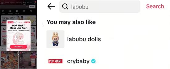 一“娃”难求：LABUBU在TikTok Shop卖“疯”了！