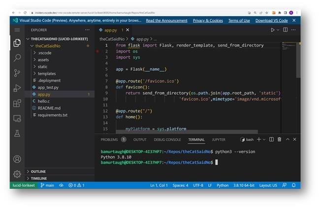 本地部署VS Code Server，如何用内网穿透实现无需公网IP远程访问？